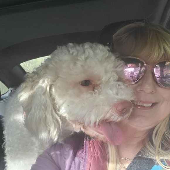 Meet your Posher, Brenda - Picture 2 of 2